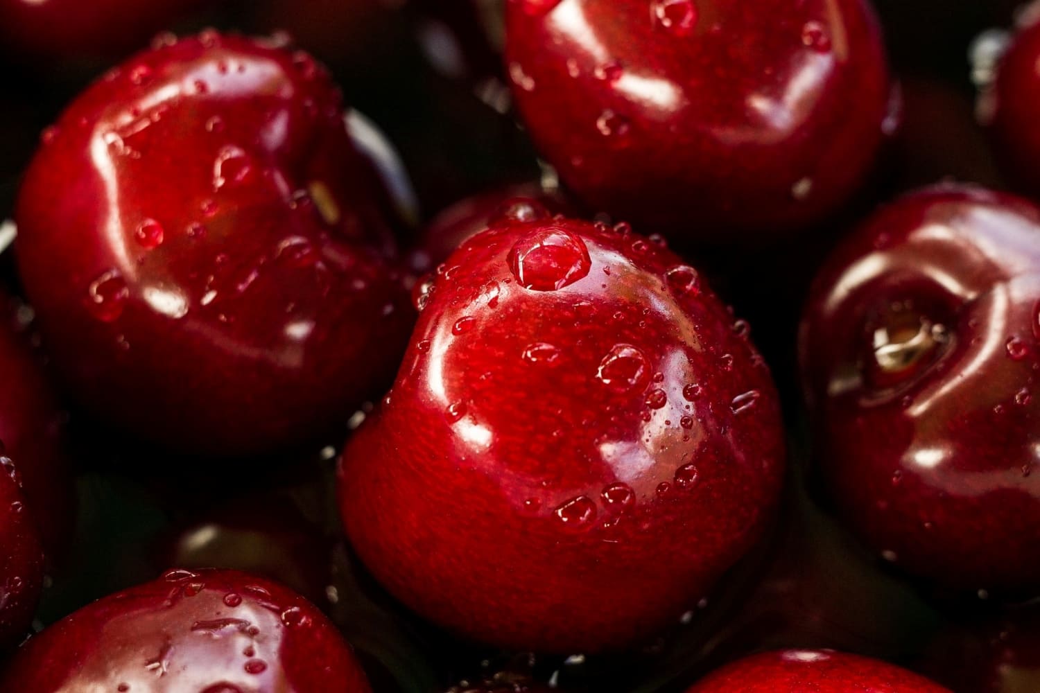 Україна створила найбільше сортів черешні у світі: науковці НААН прагнуть зробити ягоду дешевшою